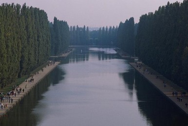Image 277481829