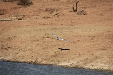 Image 277484871