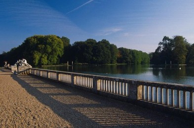 Image 277486605