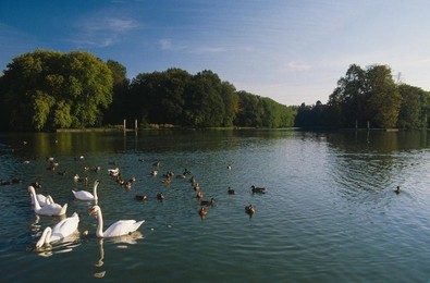 Image 277486607