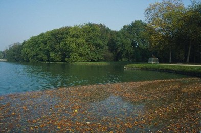 Image 277486608