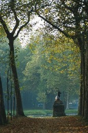 Image 277486610