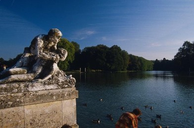 Image 277486618