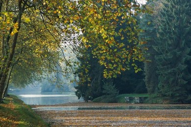 Image 277486628