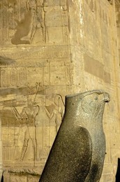 Image 277488650