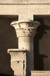 Image 277488655