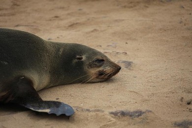 Image 277496757