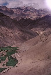 Image 277504673