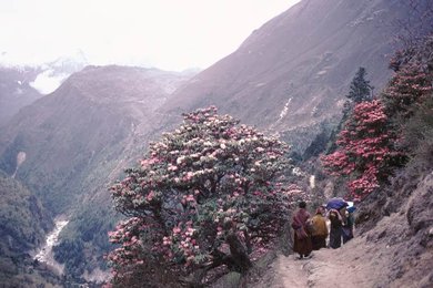 Khumbu, Landscape / Photo