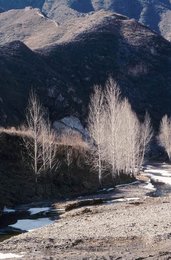 Image 277504696