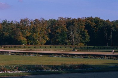 Image 277555349