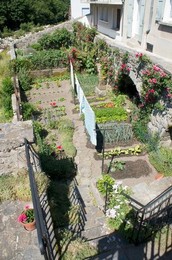 Image 277597306