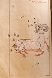 Image 277605091