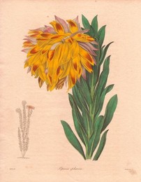 Image 277639452