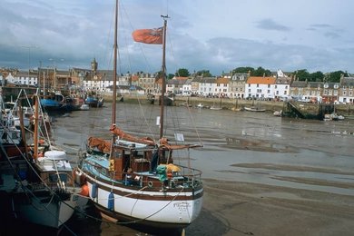 Image 277662284