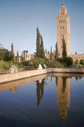 Image 277663413