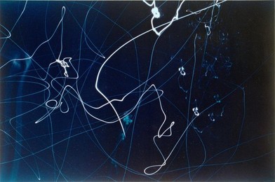 Untitled (3 shots of traffic lights) / L. Moholy-Nagy / Photo, 1939–46