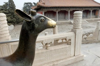 Image 277681725