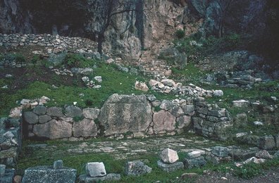 Image 277709011