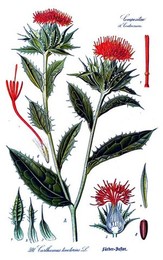 Image 277739397