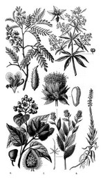 Image 277740416