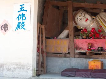 Image 277741316