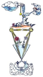 Image 277746490