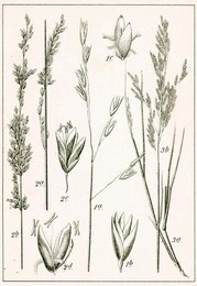 Image 277752165