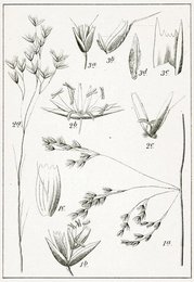 Image 277752174