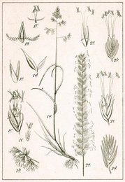 Image 277752177