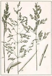 Image 277752201