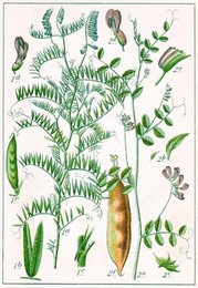Image 277752587