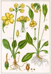 Image 277752628