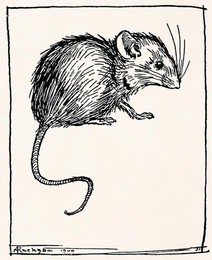 Image 277755332