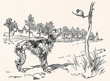 Image 277755334