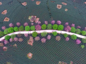 Image 277821406