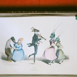 Image 278022825