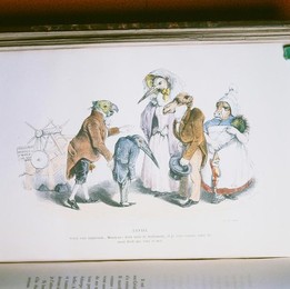Image 278022829