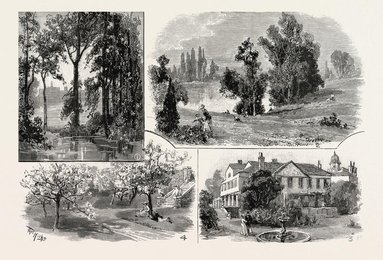 Image 278050444