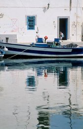 Image 278081827