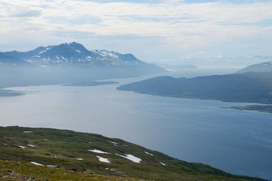 Image 278099026
