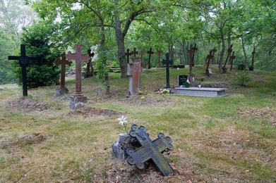 Image 278138411