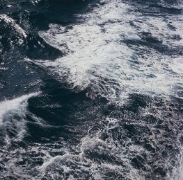Image 278150894