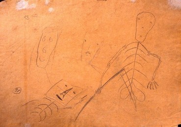 Image 278187998