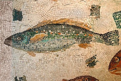 Image 278188061