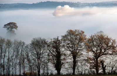 Image 278197014