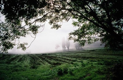 Image 278197327