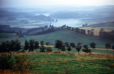 Image 278206820