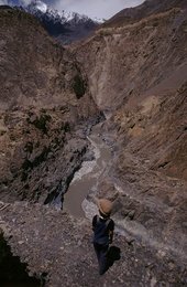 Image 278211290