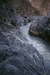 Image 278211296
